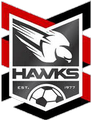 Holland Park Hawks logo