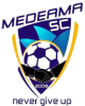 Medeama logo