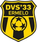 DVS 33 Ermelo logo