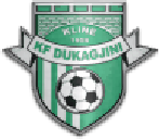 Dukagjini logo