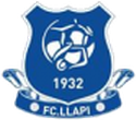 Llapi logo