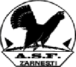 Olimpic Zărneşti logo