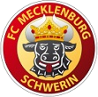 Mecklenburg Schwerin logo