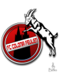 Feulen logo
