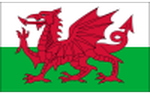 Wales U18 logo