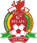 Briton Ferry logo