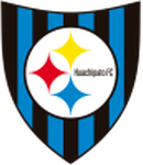 Huachipato logo