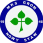 Grom Nowy Staw logo
