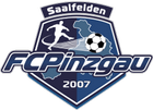 Pinzgau Saalfelden logo