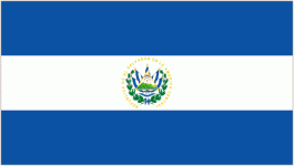 El Salvador logo