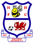 Holyhead Hotspur logo