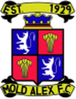 Mold Alexandra logo