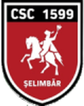 Viitorul Şelimbăr logo