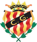 Gimnastic logo
