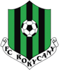 Rokycany logo