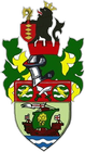 Runcorn Linnets logo