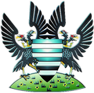 Salisbury logo