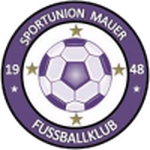 Union Mauer logo