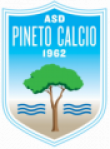 Pineto logo