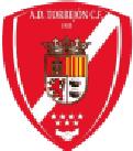Torrejón logo